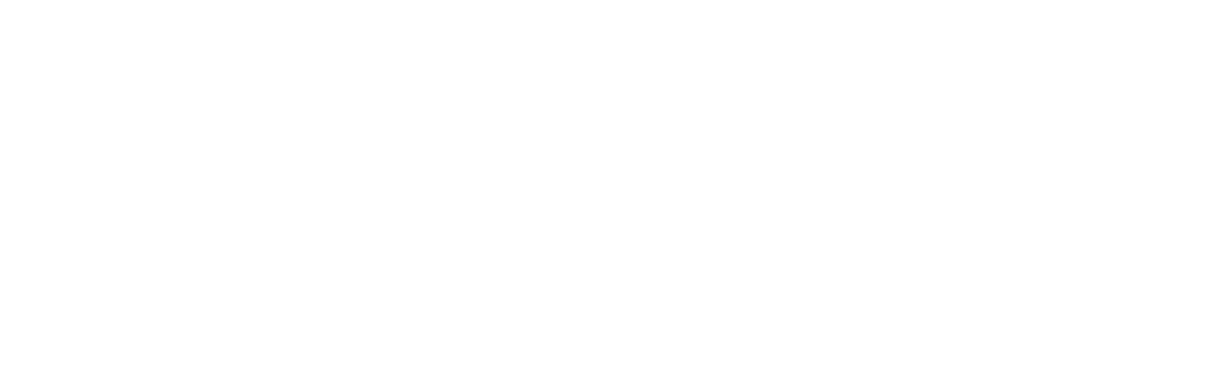 Salvation Auto Logo